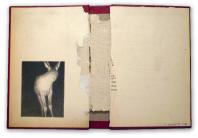 Anemic Archives Series © PHCA Christos Venetis - Anemic Archives Series