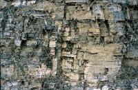Untitled © PHCA Max Ratjen - Untitled 52.5 x 35 cm 2016
