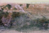 Blais Parè © PHCA Max Ratjen - Blais Parè 135 x 90 cm 2013