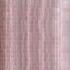 'Untitled' by Isabel Albrecht © PHCA Isabel-Albrecht-Colour-Progresson