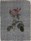'Untitled 0808081' by Karoly Keserü © PHCA karoly-Keseru-untitled-