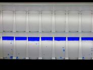 'Colour Rush' Installation view, work by Hans Kotter © PHCA Hans-Kotter-Blue-Line