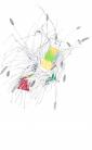 Lise Duclaux - Foxtail grass with garbage - alien, cosmopolitan, invasive Lise Duclaux - Foxtail grass with garbage - alien, cosmopolitan, invasive
