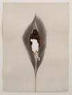 Susan Schwalb - Abstract II, 12x9in. 1979. Susan Schwalb - Abstract II, 12x9in. 1979.