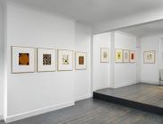 Martin Assig - Promise - Installation View 2 Martin Assig - Promise - Installation View 2