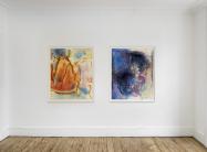 Array and Orangerie - Installation view Array and Orangerie - Installation view